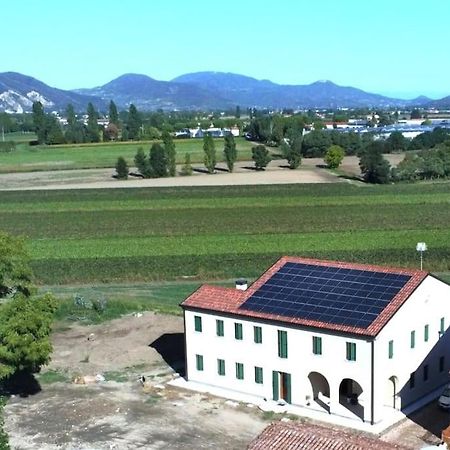 Ecofriendly House Colli Euganei Villa San Pietro Viminario Exterior foto